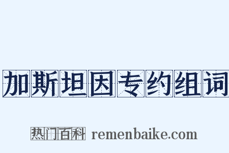 加斯坦因专约组词是什么意思的图片